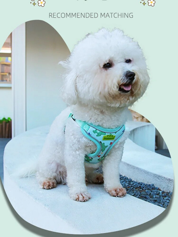 CDDMPET šunų petnešų ir pavadėlių rinkinys mažiems šunims Animacinių filmukų šuniukų petnešėlių liemenė Prancūzų buldogo vaikščiojimo krūtinės diržas naminių gyvūnėlių priedai