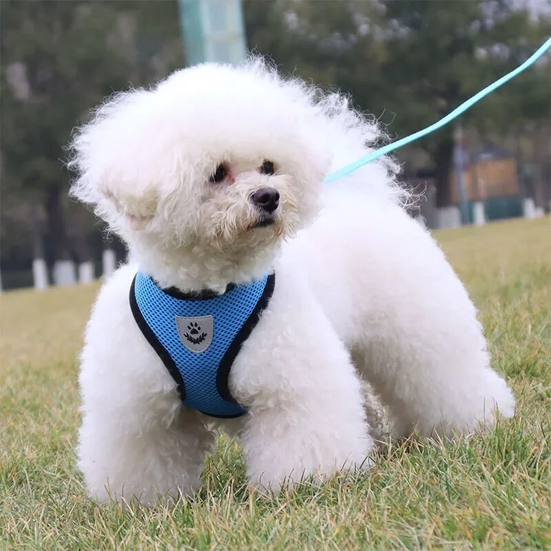 Kucēnu drēbju veste maziem un vidējiem suņiem atstarojoša zirglieta pavadas komplekts mājdzīvnieku apkakles loks-mezgls Tīkla veste Čivavas mopšu suņiem piederumi