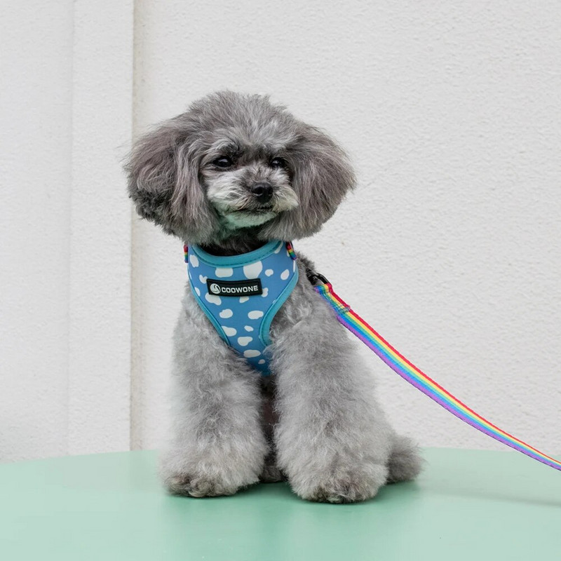 Collarlogo Regulējama mājdzīvnieku suņu kakla siksna Izturīga mīksta, jauka, radoši balti mākoņi dizaina pavada Neoprēna zirglietas kakas maisiņu dozators