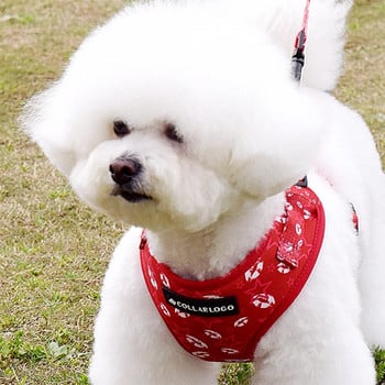 Ρυθμιζόμενο κολάρο για σκύλους κατοικίδιων ζώων Ανθεκτικό μαλακό χαριτωμένο, δημιουργικό, έγχρωμο κόκκινο χείλος, λουρί, λουρί από νεοπρένιο με δοσομετρική τσάντα