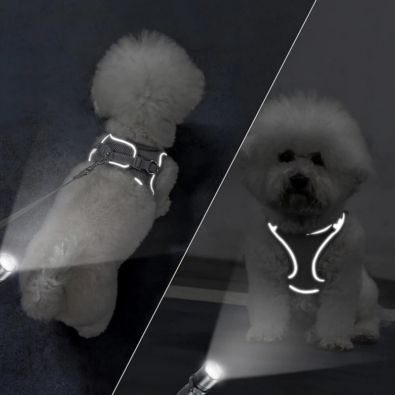 Neilona suņu vestes siksnas un pavadas komplekts kucēnu kaķu vasaras sieta zirglietas, regulējamas atstarojošas maziem un vidējiem suņiem kaķiem Čivava