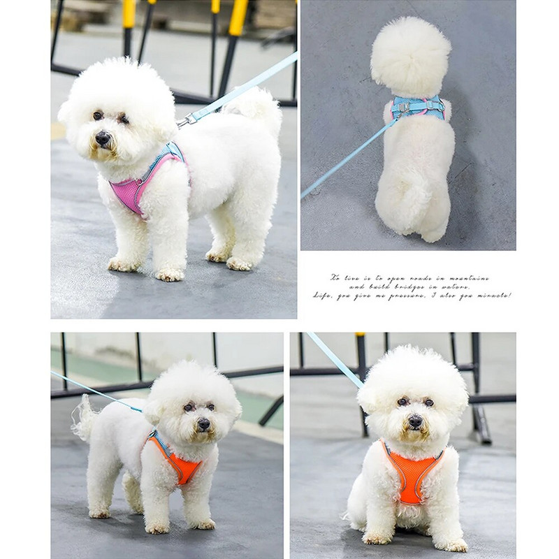 Neilona suņu vestes siksnas un pavadas komplekts kucēnu kaķu vasaras sieta zirglietas, regulējamas atstarojošas maziem un vidējiem suņiem kaķiem Čivava