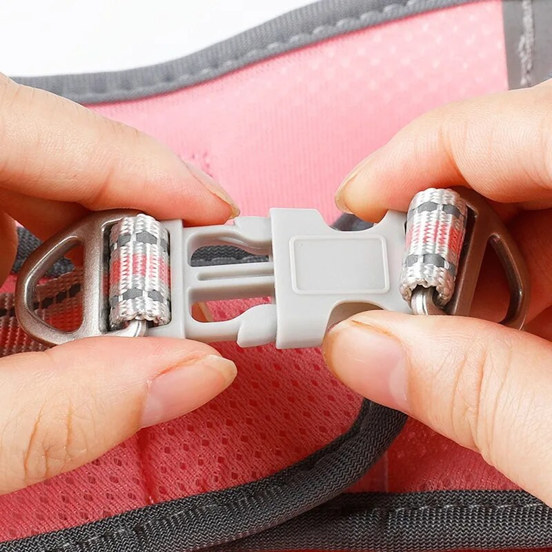 Kaķu suņu siksnas siksnas komplekts Mājdzīvnieku piederumi Drošības atstarojoša siksnas veste Vairāku izmēru pastaigu pavadas pavada maziem un vidējiem suņiem