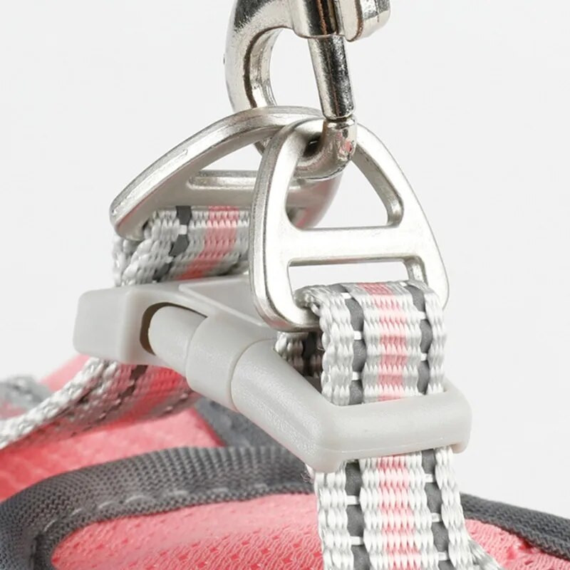 Kaķu suņu siksnas siksnas komplekts Mājdzīvnieku piederumi Drošības atstarojoša siksnas veste Vairāku izmēru pastaigu pavadas pavada maziem un vidējiem suņiem