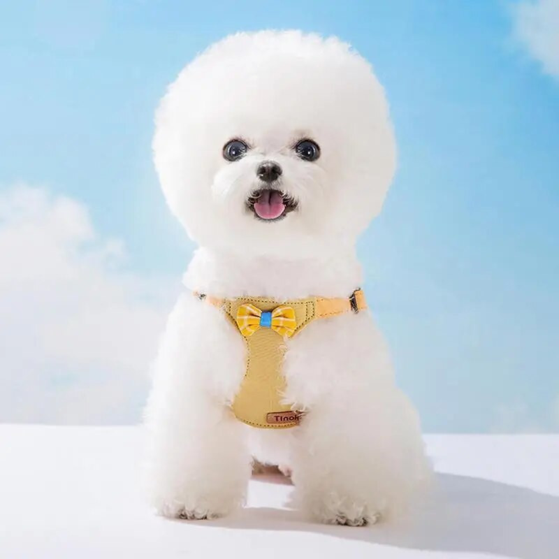 Suņu zirglietas maziem suņiem Vestes maziem dzīvniekiem Bez aizrīšanās mājdzīvnieka veste bez aizrīšanās mājdzīvnieka veste Modes un viegls priekš