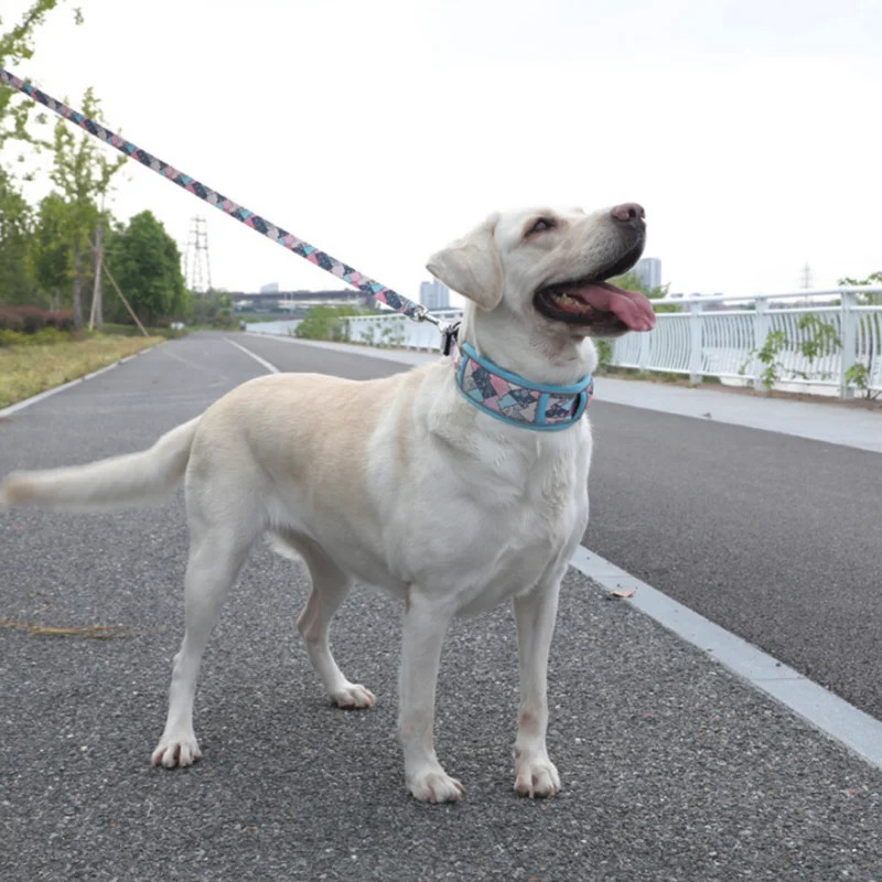 Atstarojošas suņu kaklasiksnas pavadas komplekts Mīksts, ērts mājdzīvnieku suņu kakla siksna Regulējama mājdzīvnieka mīksta polsterēta suņu kakla siksna Suņu piederumi