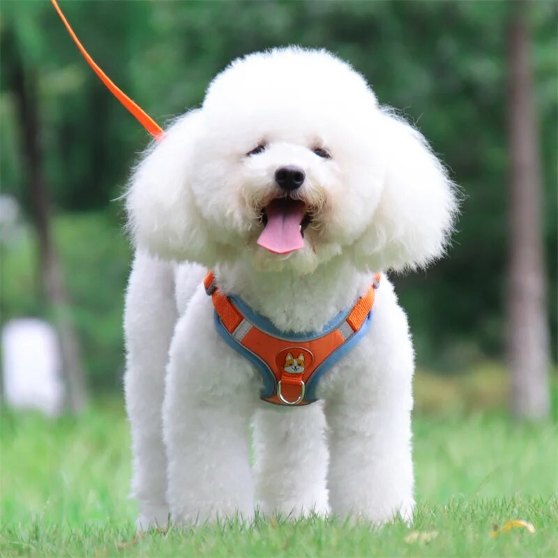 Ρυθμιζόμενο λουρί λουρί με επένδυση για λουρί για μικρούς μεσαίους σκύλους Ανακλαστικά λουρί για σκύλους για γάτες γαλλικού μπουλντόγκ Bichon mascotas Lead
