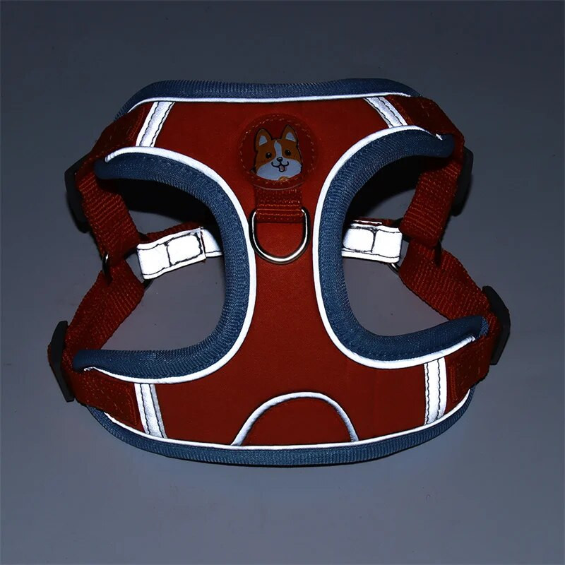 Ρυθμιζόμενο λουρί λουρί με επένδυση για λουρί για μικρούς μεσαίους σκύλους Ανακλαστικά λουρί για σκύλους για γάτες γαλλικού μπουλντόγκ Bichon mascotas Lead