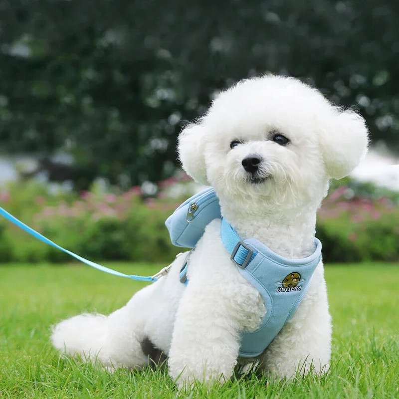 Suņu iejūga mugursoma, elpojošas mājdzīvnieku iejūgas un pavadas Viegla mugursoma mājdzīvnieku apmācībai brīvā dabā, pastaigu kempingā