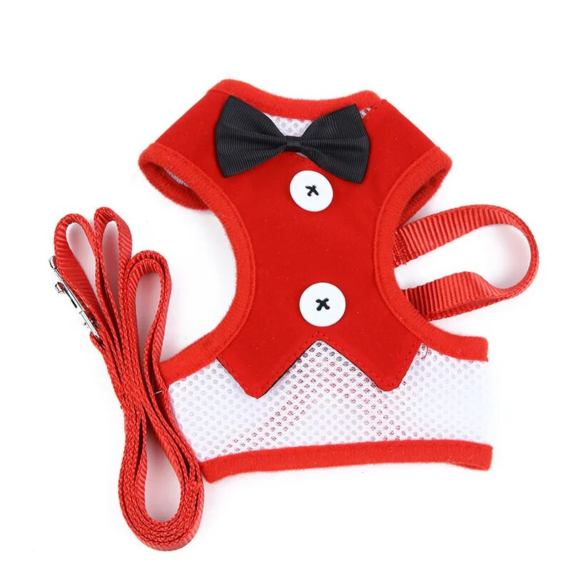 Kaķa krūškurvja pavadas komplekts ar tauriņu vesti, mājdzīvnieku krūškurvja siksnas, kas piemērotas staigājošiem kaķiem un kucēniem, pavadas maziem mājdzīvnieku priekšmetiem