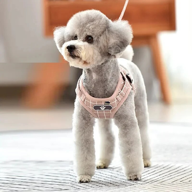 Γιλέκο με λουρί σκύλου Ανακλαστικό λουρί στήθους κατοικίδιων ζώων Ρυθμιζόμενο σετ λουριών για κουτάβι γιλέκο γάτας για τσιουάουα