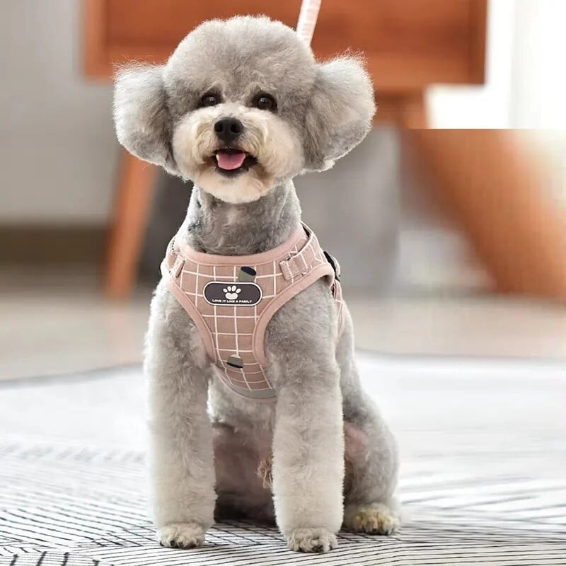 Γιλέκο με λουρί σκύλου Ανακλαστικό λουρί στήθους κατοικίδιων ζώων Ρυθμιζόμενο σετ λουριών για κουτάβι γιλέκο γάτας για τσιουάουα