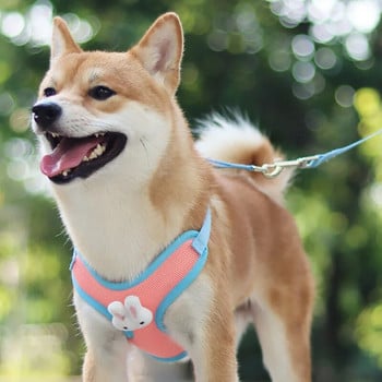 Ζωντανό λουρί και λουρί κατοικίδιων ζώων, ρυθμιζόμενο μικρό και μεσαίο σκυλί Bichon Teddy Dog Leash Mesh που αναπνέει με χαριτωμένο λαγουδάκι διακόσμηση