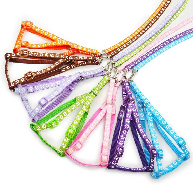 Oprtač za pse Mačka Najlonski remen Prsluk Ogrlica Povodac Set Štene Kućni ljubimac za bijeg Štene Šetnja na otvorenom Podesivo mače Izdržljiva vuča