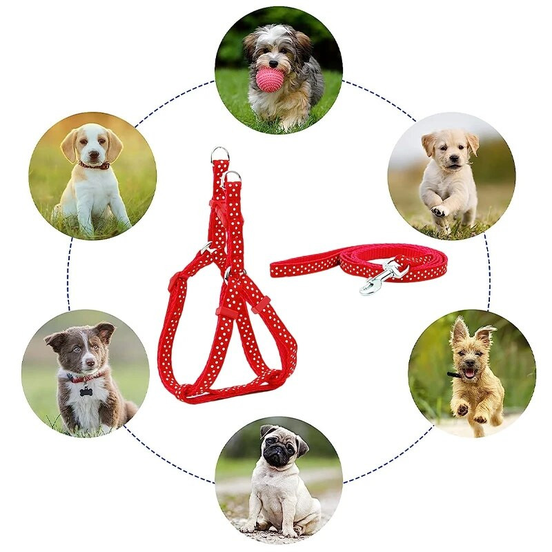 Oprtač za pse Mačka Najlonski remen Prsluk Ogrlica Povodac Set Štene Kućni ljubimac za bijeg Štene Šetnja na otvorenom Podesivo mače Izdržljiva vuča