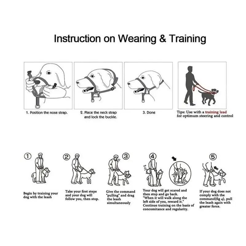 Galvas pavadas suņiem Polsterētas suņu galvas iejūgas siksnas suņiem suņiem, kas paredzētas apmācībai siksnas suņa galvas apkakles vidējam izmēram