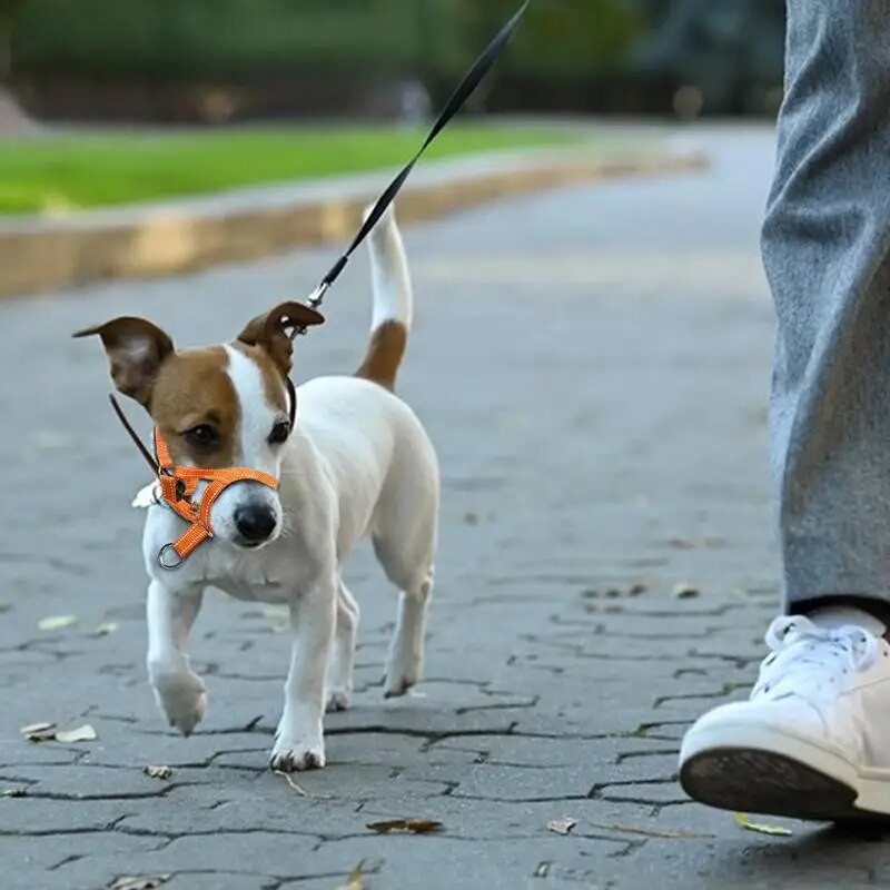 Galvas pavadas suņiem Polsterētas suņu galvas iejūgas siksnas suņiem suņiem, kas paredzētas apmācībai siksnas suņa galvas apkakles vidējam izmēram