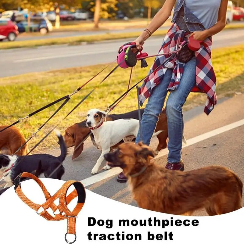 Galvas pavadas suņiem Polsterētas suņu galvas iejūgas siksnas suņiem suņiem, kas paredzētas apmācībai siksnas suņa galvas apkakles vidējam izmēram