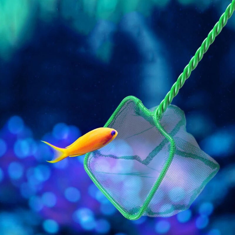 Garš rokturis kvadrātveida pārnēsājams akvāriju zvejas tīkls, kas paredzēts zivju peldošo objektu tīrīšanai