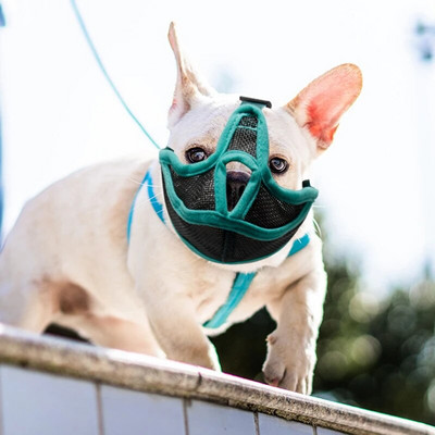 Намордници за домашни кучета с къса муцуна Регулируема дишаща мрежа Френски булдог Мопс Муцуна Маска против спиране на лаенето DC05