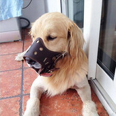 Podesiva kožna pseća njuška protiv lajanja, ugriza, žvakanja, proizvodi za obuku pasa za male, srednje velike pse, pribor za kućne ljubimce