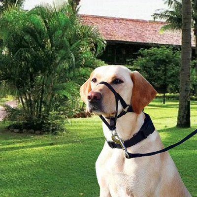 Ρύγχος σκύλου από νάιλον ρυθμιζόμενο κατά του γαβγίσματος Λουρί εκπαίδευσης με λουρί για κολάρο κεφαλιού ρύγχος σκύλου