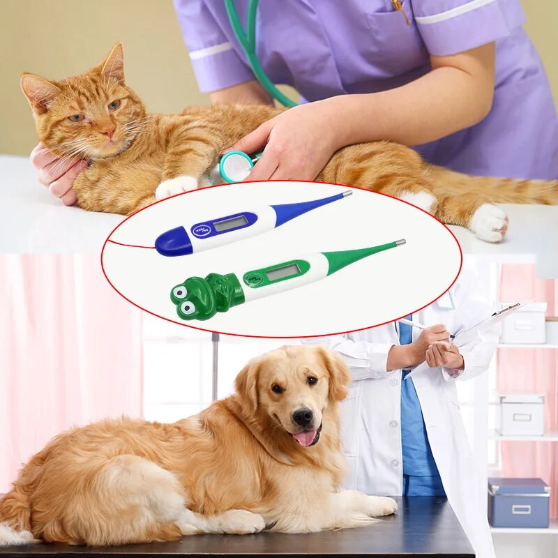 Mielas naminių gyvūnėlių skaitmeninis led termometras vandeniui atsparus animacinis filmukas Veterinarinis kūno termometras šunims arkliams katėms kiaulėms avims