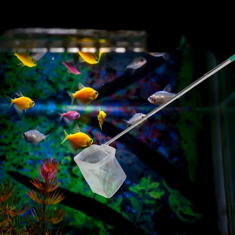 Akvárium s rybárskou sieťou na krevety, zaťahovacia sieť na odstraňovanie šmýkačiek z nehrdzavejúcej ocele pre rybníkové nádrže