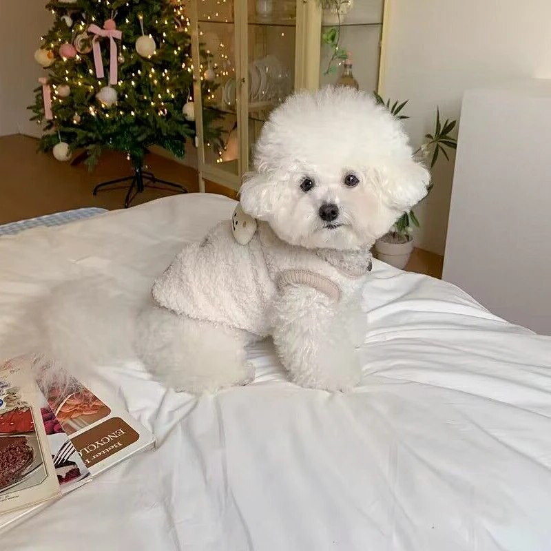 Slatki pamučni prsluk za pse za kućne ljubimce Jesenska i zimska odjeća za pse za male pse Teddy Cat Odjeća za pse Debljana topla jakna za pse