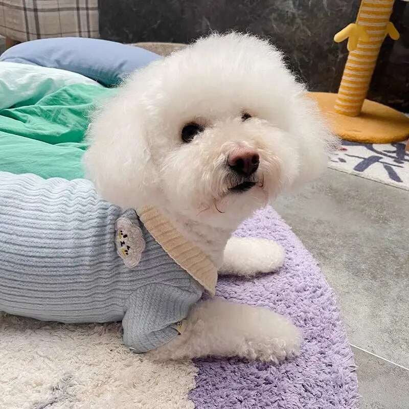 Koer Kootud Kardigan Kass Värvus Kontrast Revääri Alumine Särk Sügis Talvine Lemmikloomariided Koera kampsun Kutsika Riided Lemmikloomariided