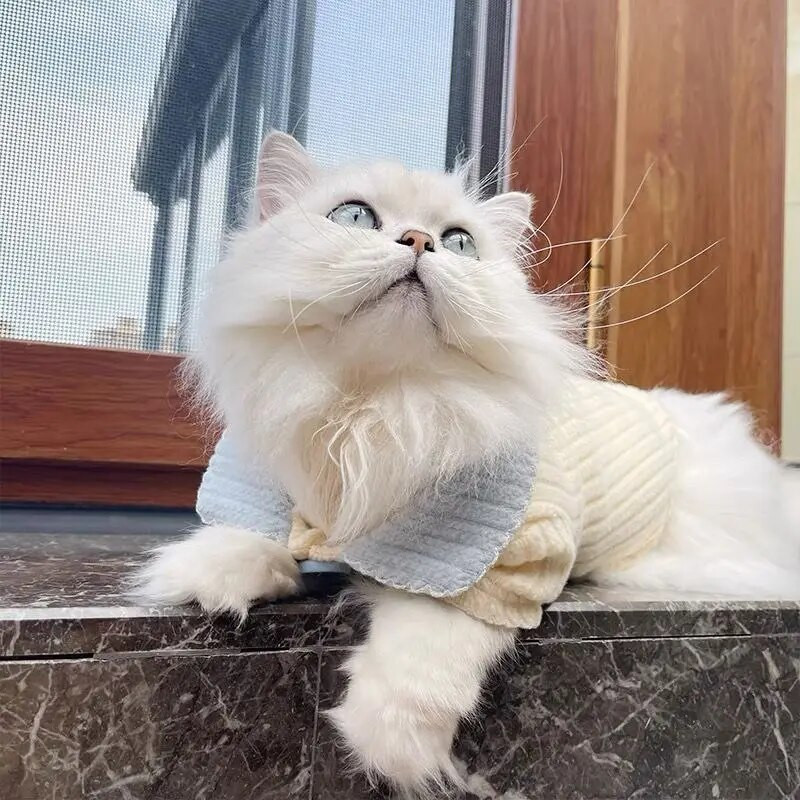 Koer Kootud Kardigan Kass Värvus Kontrast Revääri Alumine Särk Sügis Talvine Lemmikloomariided Koera kampsun Kutsika Riided Lemmikloomariided