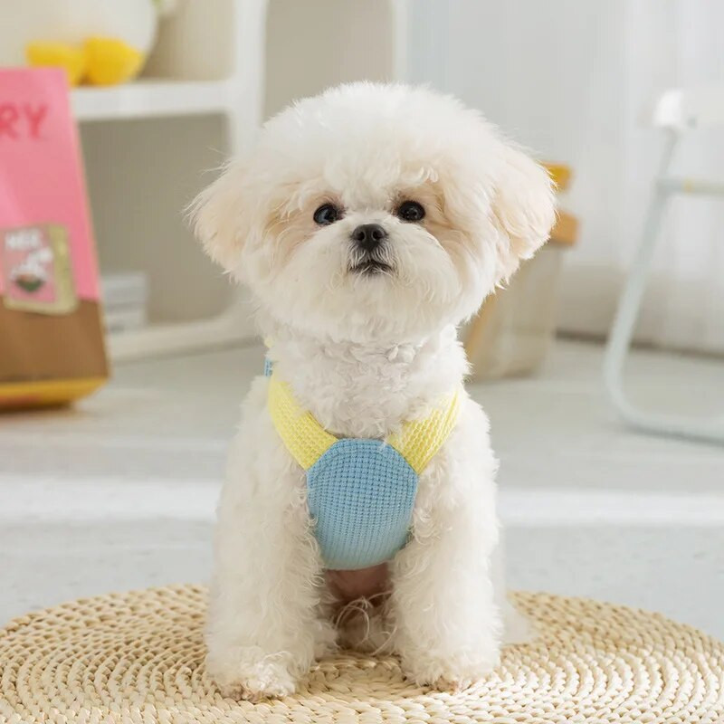 Kevad/suvi koerte jäätise värvi tasku beebi veorihm Väikesed keskmised koerad vahvlitops Kaisu lemmikloomade koerte riided kutsikate riided