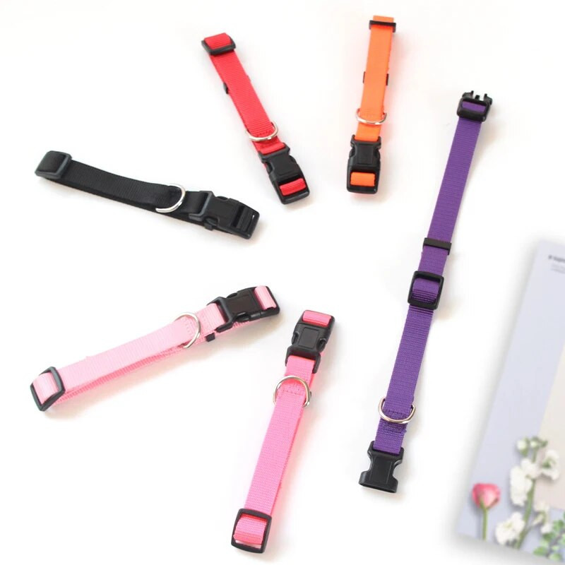 Vienkrāsainas neilona suņu kaklasiksnas kaķiem, staigājot brīvā dabā, pazuduši Izvairieties no mājdzīvnieku piederumiem Daudzkrāsu pamata suņu iejūga XS-XL