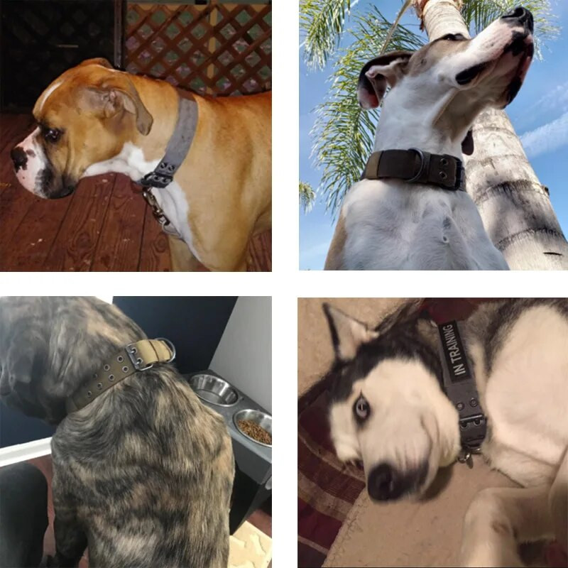 Taktikai rendőrségi kutyanyakörv, állítható dupla nylon német juhászkutya közepes méretű sétáló kiképzéshez kisállat kiegészítők