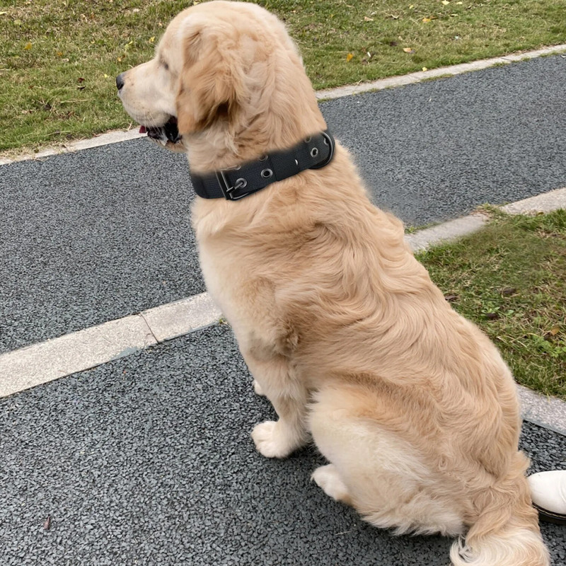 Taktikai rendőrségi kutyanyakörv, állítható dupla nylon német juhászkutya közepes méretű sétáló kiképzéshez kisállat kiegészítők