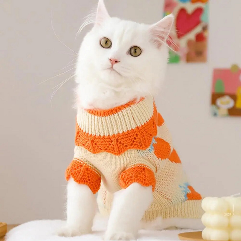 Ρούχα για κατοικίδια Ενδύματα με μοτίβο φράουλα Φόρεμα με απαλή υφή Πλεκτό πουλόβερ για κατοικίδια γάτες για το χειμώνα