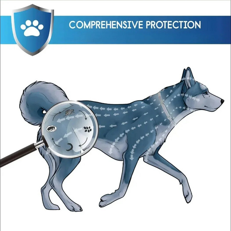 VIP suņu kaklasiksnas kucēns 68cm 37cm maziem suņiem kaķiem kakla siksna mājdzīvnieku piederumu piegādātāji