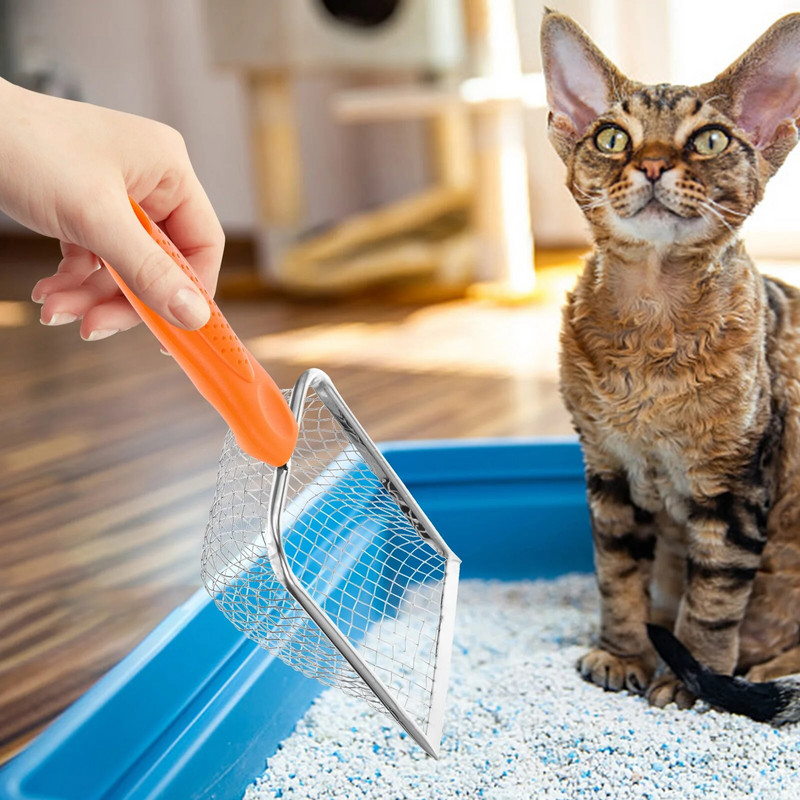 Nerūsējošā tērauda kaķu pakaišu lāpstiņa smilšu sieta iekštelpu rāpuļu sietiņa mājsaimniecības lāpstiņa