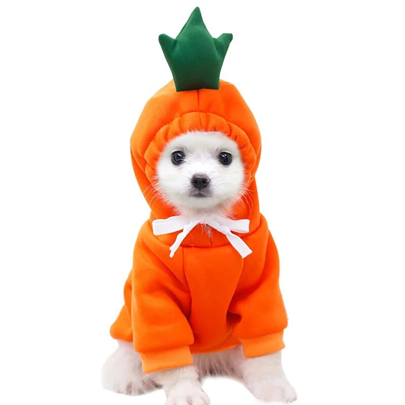 Legendog χαριτωμένα ρούχα για κατοικίδια με κουκούλα καρότο ζεστή βαμβακερή γάτα Χειμερινή στολή γάτας για κρύο καιρό Στολή για γάτα Teddy Corgi Chihuahua