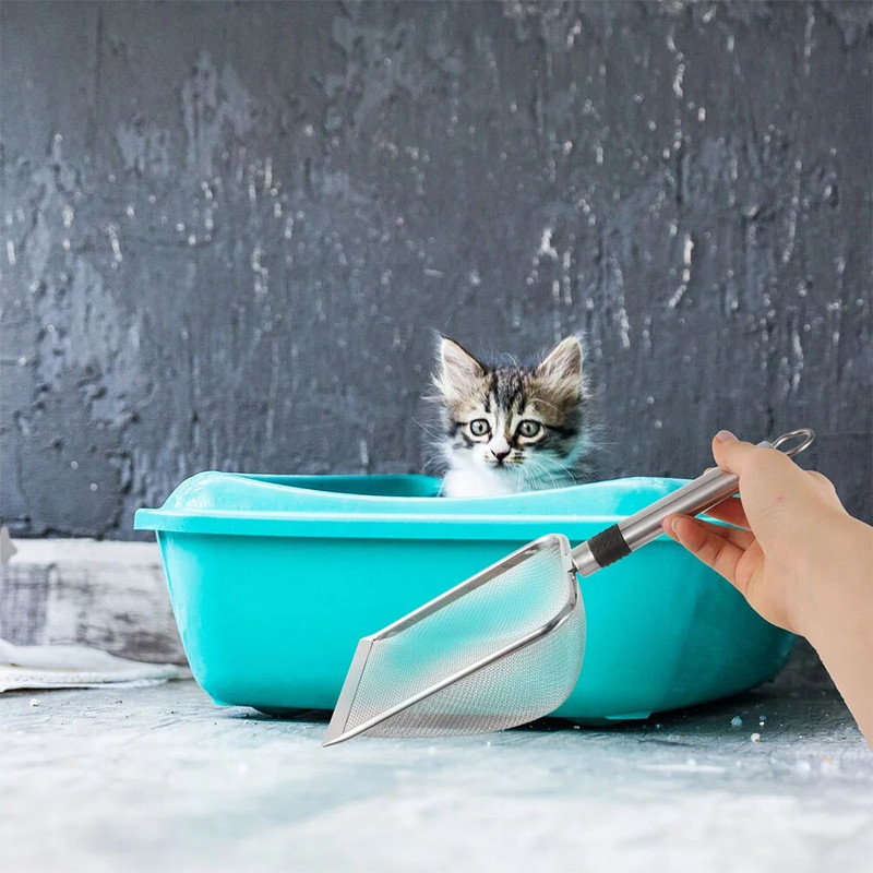 Μεταλλική σέσουλα απορριμμάτων γάτας Μεταλλική σέσουλα απορριμμάτων γάτας για γάτα