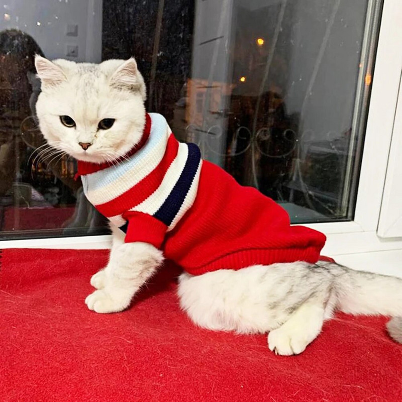 Πουλόβερ για κουτάβι γάτα Χειμερινά ζεστά ρούχα για σκύλους για μικρούς μεσαίους σκύλους Chihuahua Dachshund παλτό γαλλικό μπουλντόγκ Yorkie poodle κατοικίδιο
