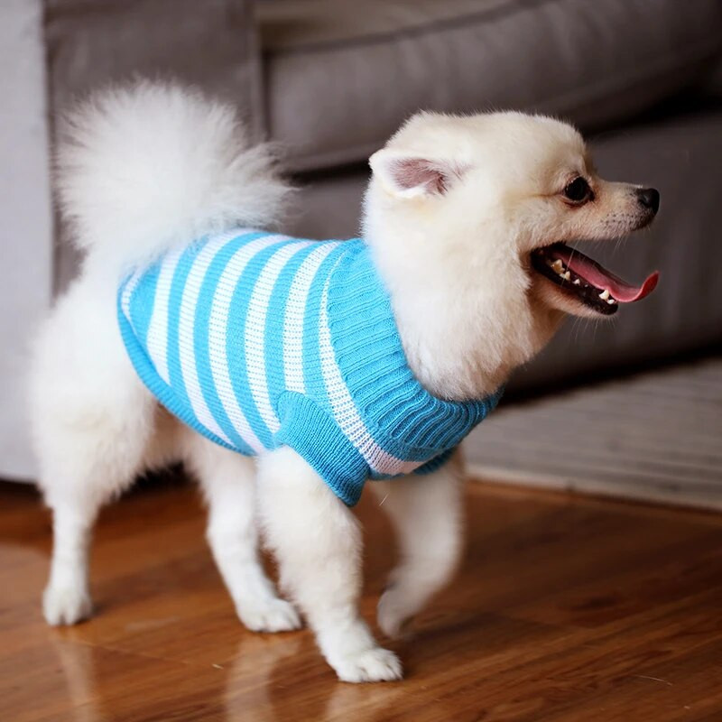 Προϊόντα κατοικίδιων σκύλων Πρωτοχρονιάτικα Ρούχα Φορέστε Cute Cat Medium Pullover Jerseys Puppy Knit πουλόβερ για μικρά ζώα York Dogs Winter
