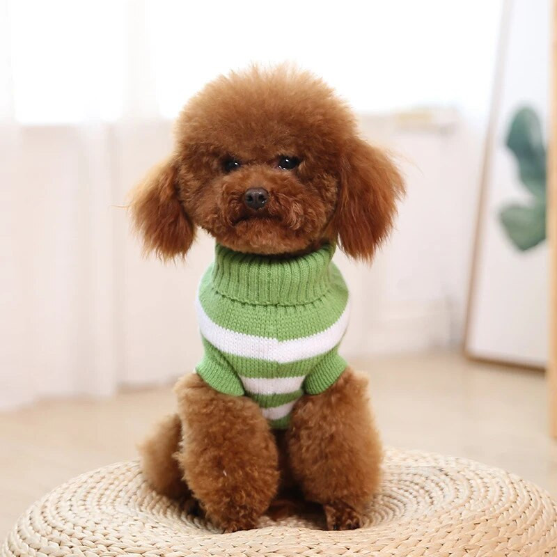 Προϊόντα κατοικίδιων σκύλων Πρωτοχρονιάτικα Ρούχα Φορέστε Cute Cat Medium Pullover Jerseys Puppy Knit πουλόβερ για μικρά ζώα York Dogs Winter
