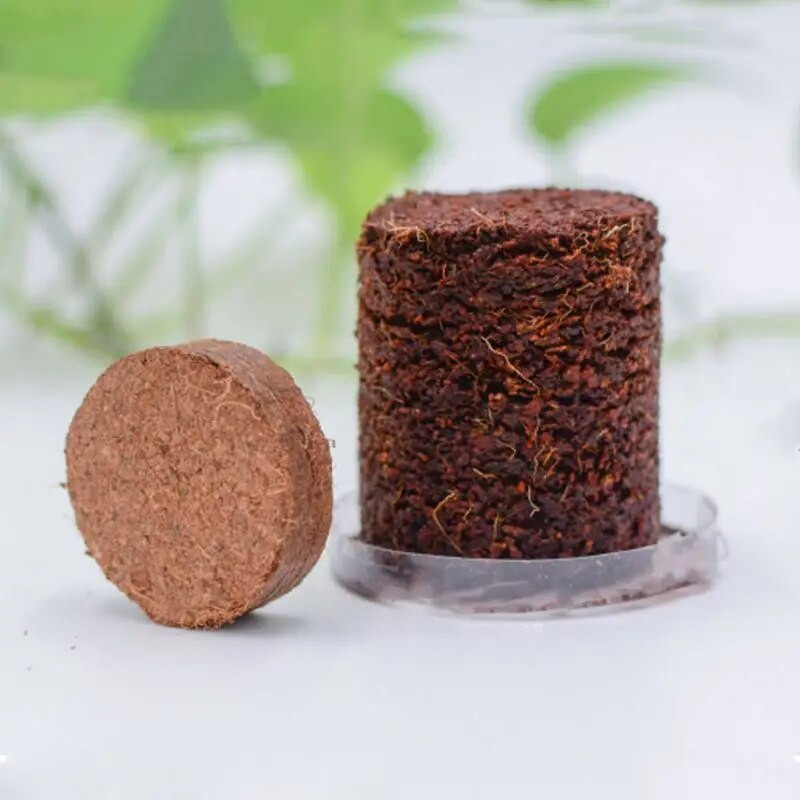 Dabiski kokosšķiedras diski apaļi kokosriekstu ķieģeļi mājas dārzkopībai rāpuļu akvārijam