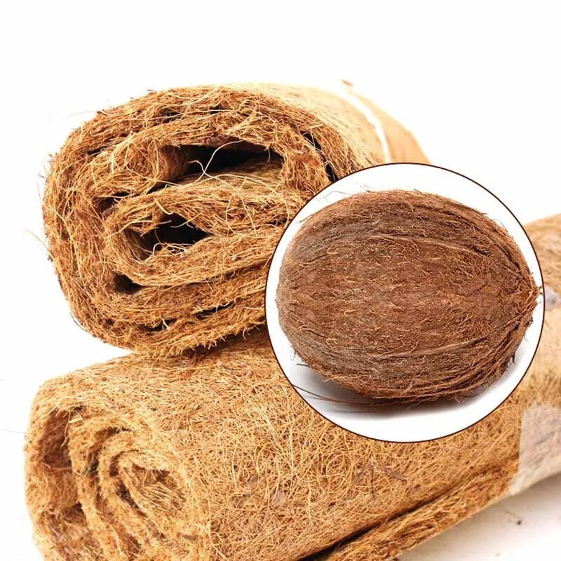 Rāpuļu mājdzīvnieku gultas paklājs Akvārijs Bruņurupucis Bruņurupucis Ķirzaka Rāpuļi kāpšana Kokosriekstu palmas paklāja atbalsta piliens