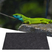 Rāpuļu paklājs, mīksts, ērts, nodilumizturīgs rāpuļu ķirzaku bruņurupuču ainavu spilventiņi mājdzīvniekiem