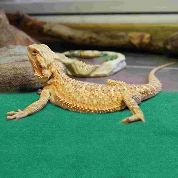 Reptile Carpet Mat- Large Substrate Liner Bedding Reptile Supplies for Terrarium Lizards Snakes Bearded Gecko Chamelon Turtles