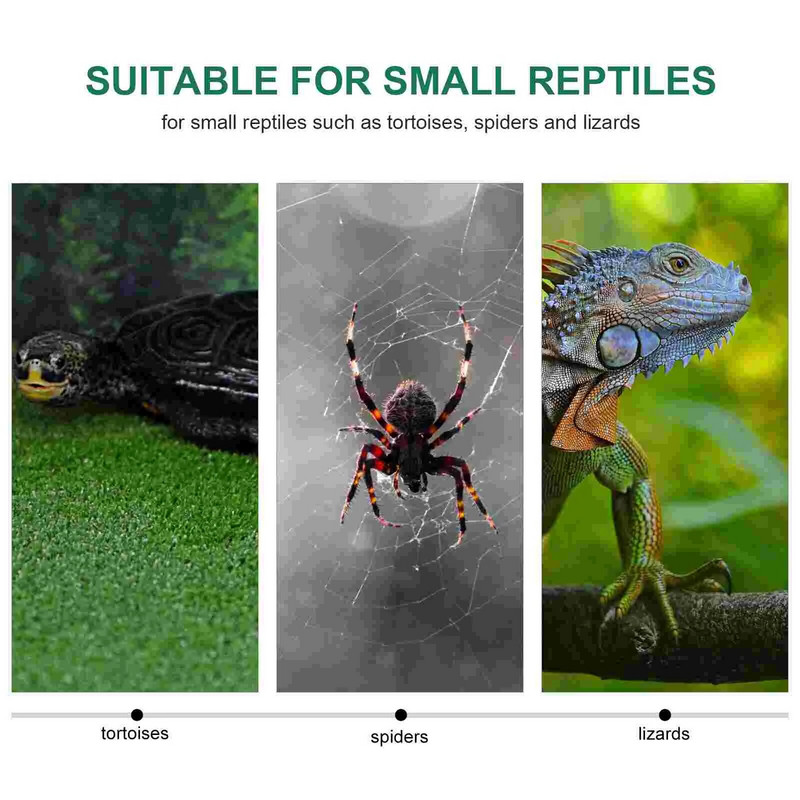 Rāpuļu paklāja paklājs — liela substrāta oderes pakaiši Rāpuļu piederumi terārija ķirzakas Čūskas Bārdains Gekons Hamelons Bruņurupuči