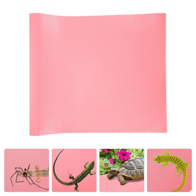 Κλινοσκεπάσματα Terrarium για ερπετά που σέρνονται με κουβέρτα Χαλιά Γενειοφόρος Δράκος