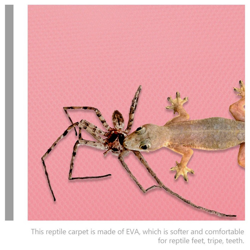 Κλινοσκεπάσματα Terrarium για ερπετά που σέρνονται με κουβέρτα Χαλιά Γενειοφόρος Δράκος